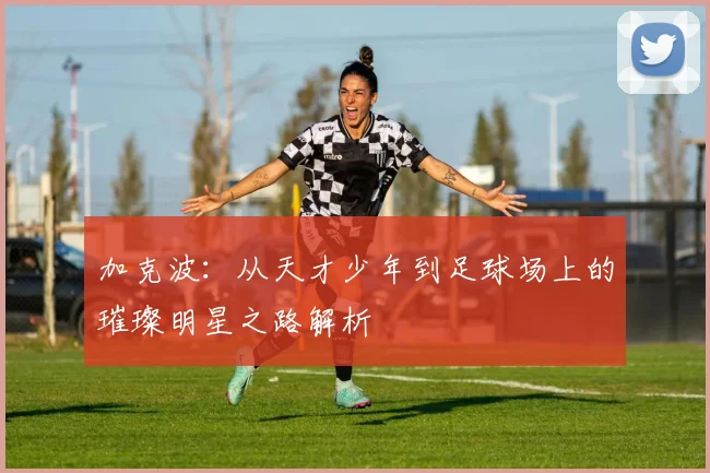 加克波：从天才少年到足球场上的璀璨明星之路解析